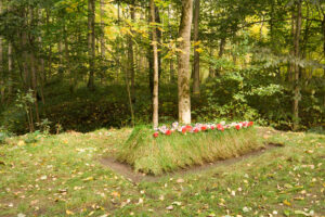 Ясная поляна